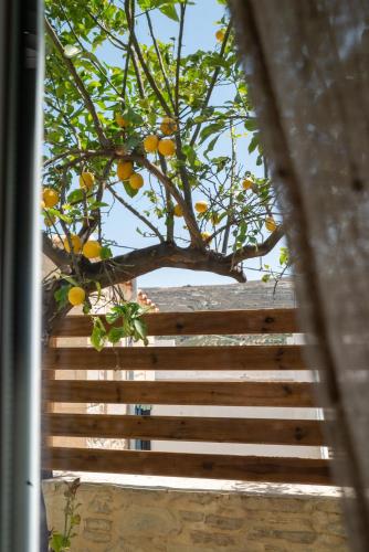 a set of stairs with an orange tree at Kalliope's house in Knossos in Knosos