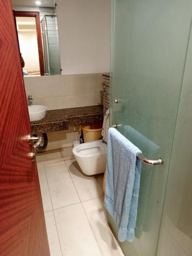 La salle de bains est pourvue de toilettes, d'un lavabo et de serviettes. dans l'établissement Luxury rooms studioLahore, à Lahore