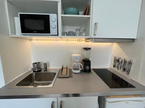 une cuisine avec un évier et un micro-ondes dans l'établissement Studio Cosy et idéalement placé, à Grenoble
