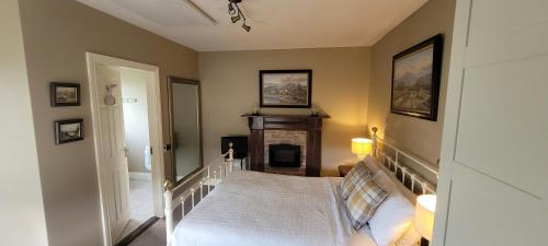 a bedroom with a bed and a fireplace at Country Suite - Spectacular Views in Kilgarvan