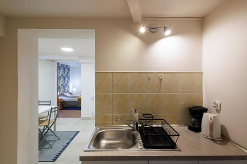 a kitchen with a sink and a counter top at Apartamenty przy Parku in Łańcut