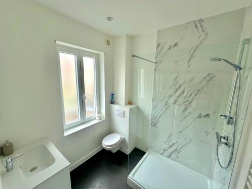 een badkamer met een douche, een toilet en een wastafel bij Appartement rénové in Brussel