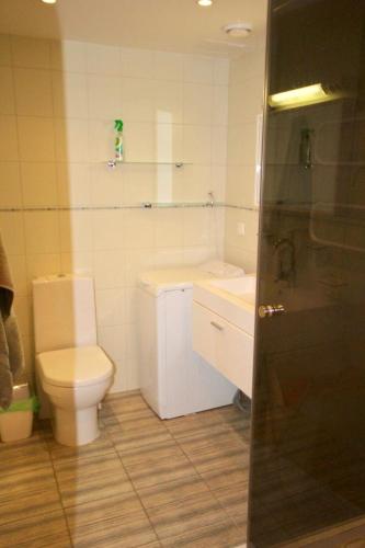 a bathroom with a toilet and a sink at Cozy flat with side Baltic Sea view in Pärnu