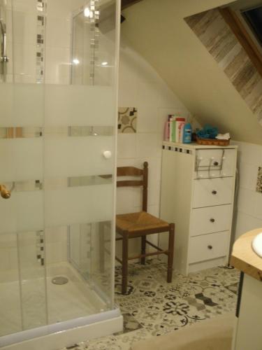 uma casa de banho com um chuveiro e uma cadeira. em Chambre Sologne em Saint-Julien-sur-Cher
