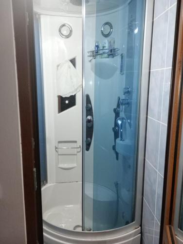 La salle de bains est pourvue d'une douche en verre et de toilettes. dans l'établissement Garsoniera Herculane, à Băile Herculane