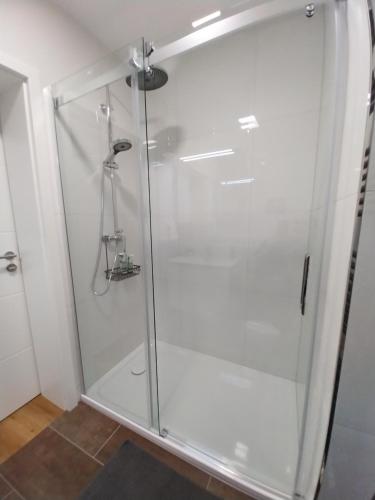 a shower with a glass door in a bathroom at Homburger 14 in Neunkirchen