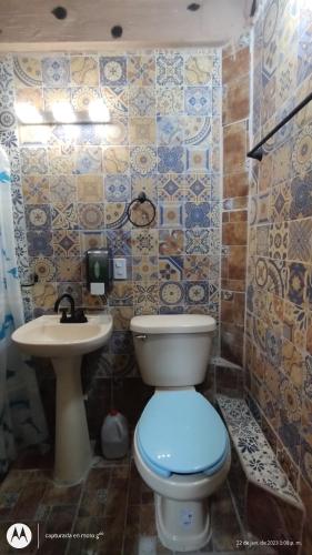 a bathroom with a toilet and a sink at Hermosa Habitación La Estancia in Tamasopo