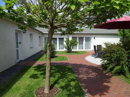 a tree in a yard next to a house at Ferienwohnung 2 in Pudagla auf der Insel Usedom in Pudagla