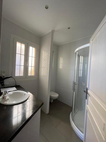 a bathroom with a sink and a shower and a toilet at Chambres hôtes chez Fernand in Centuri