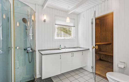 La salle de bains est pourvue d'un lavabo, d'une douche et de toilettes. dans l'établissement Awesome Home In Hjrring With Indoor Swimming Pool, à Lønstrup