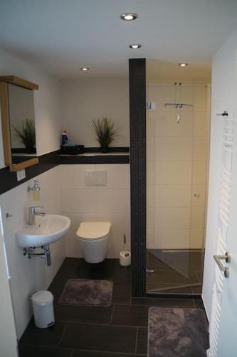 a bathroom with a shower and a toilet and a sink at Ferienwohnung Sigwart in Efringen-Kirchen