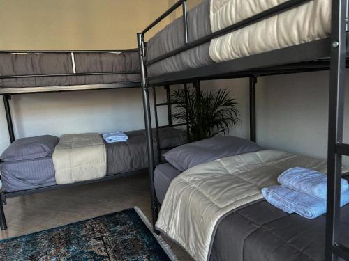 um quarto com 2 beliches e um tapete em Hostel by Fenix Tirana em Tirana