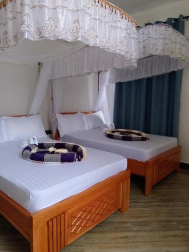 two beds in a room with two bunk beds at CHAMBO VILLAS in Morogoro