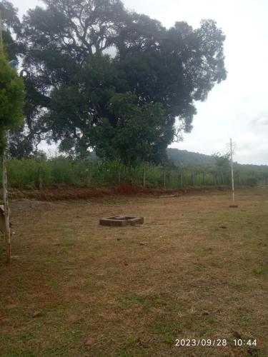 a large field with a large tree in the background at Green hut house in Yelagiri