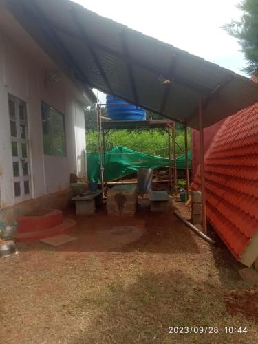 Κήπος έξω από το Green hut house