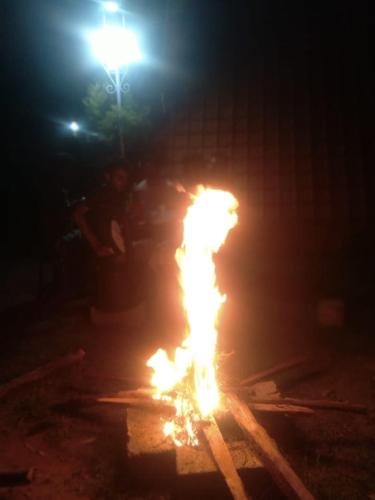 a fire in the street at night with a street light at Green hut house in Yelagiri