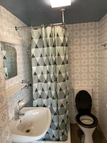 La salle de bains est pourvue d'un lavabo, de toilettes et d'une douche. dans l'établissement Marina Alpen Haus, à Zell am See