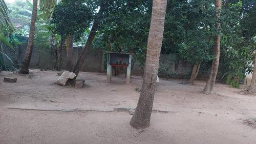 a fire pit in the middle of a forest of trees at House near main temple in Batticaloa