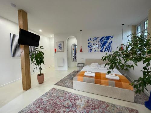 a bedroom with a bed and a tv in it at Studio 11 Bis in Vichy