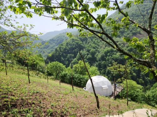 Paisaje cerca de este tented camp