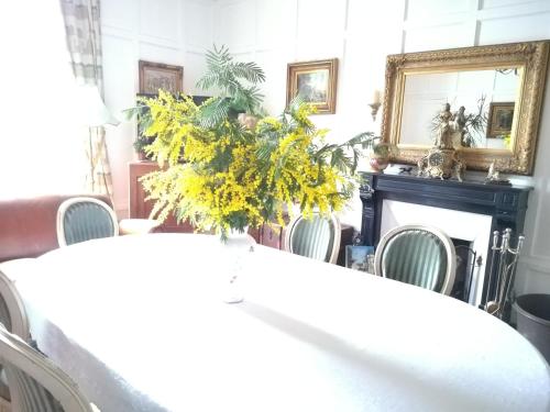 een eetkamer met een tafel en stoelen en een open haard bij LE CHATEAU Ste MARIE in Fors