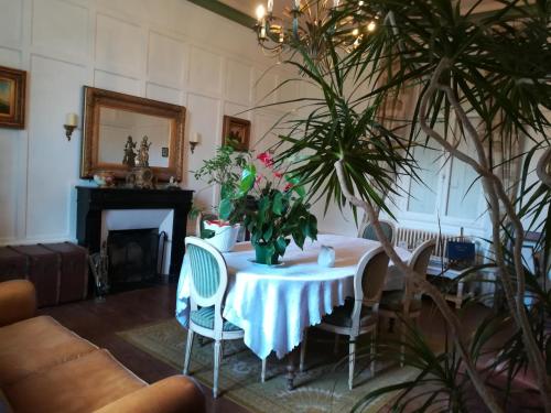 - une salle à manger avec une table et des fleurs dans l'établissement LE CHATEAU Ste MARIE, à Fors