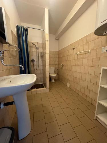 a bathroom with a sink and a shower and a toilet at Hotel Formule in Děčín