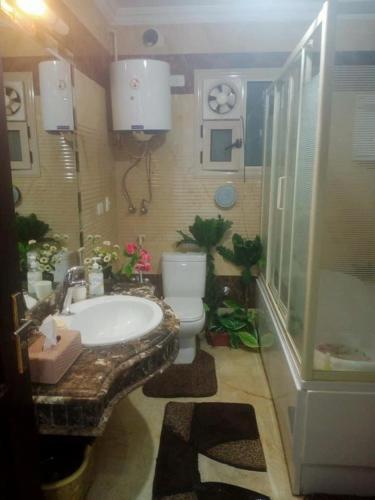 カイロにあるريف الهرمの洗面台とトイレ付きのバスルーム
