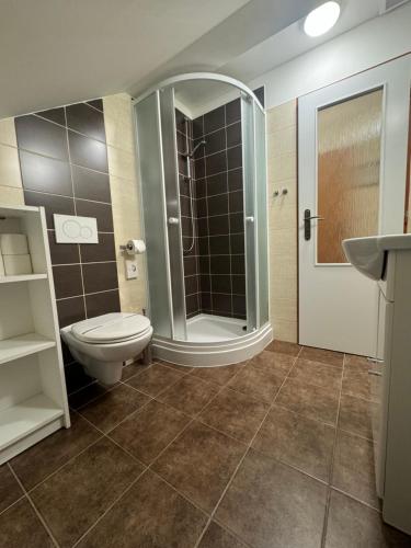 a bathroom with a toilet and a shower and a sink at Hotel Formule in Děčín