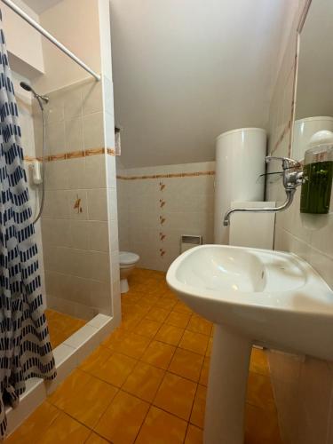 a bathroom with a sink and a shower and a toilet at Hotel Formule in Děčín