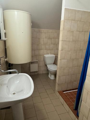a bathroom with a white sink and a toilet at Hotel Formule in Děčín