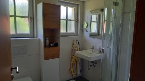 La petite salle de bains est pourvue d'un lavabo et d'une douche. dans l'établissement Ferienwohnungen Haus Peer, à Bad Goisern