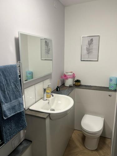 a bathroom with a sink and a toilet and a mirror at Highmead House in Camelford