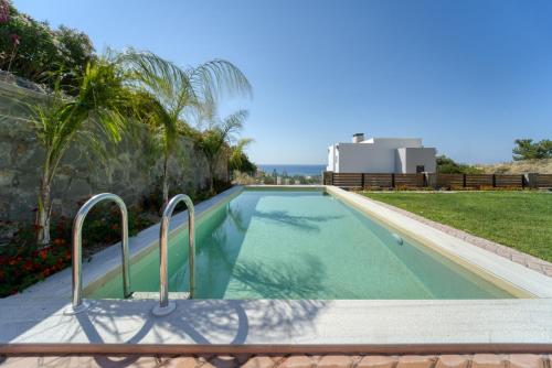 a swimming pool in a villa with a palm tree at Heliophos Villa Aelia in Kiotari