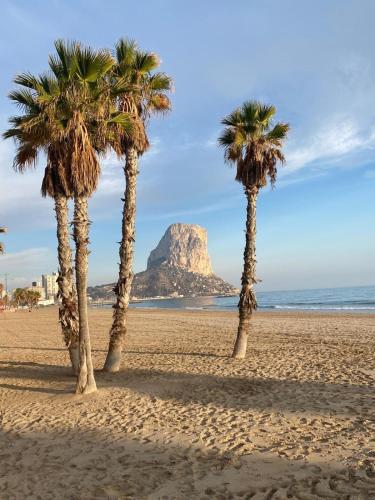 three palm trees on a beach with a mountain in the background at Calpe Apolo V 3B Appartement Marrakech Style in Calpe
