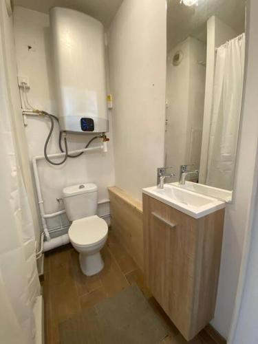 une salle de bain avec toilettes et lavabo dans l'établissement Appartement 2 chambres avec cuisine Gare, à Grenoble