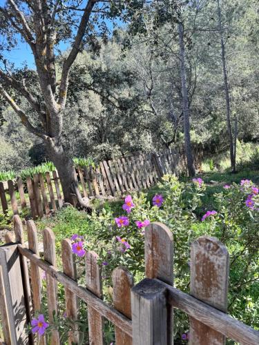 a wooden fence in front of a garden with flowers at Alcarria , Casa del Agua in Albalate de Zorita