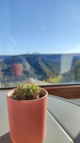 ゲストハウスから撮影された、または一般的な山の景色
