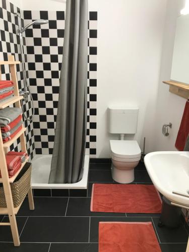 W łazience znajduje się toaleta, prysznic i umywalka. w obiekcie Haus Bliestal-Blick w mieście Blieskastel