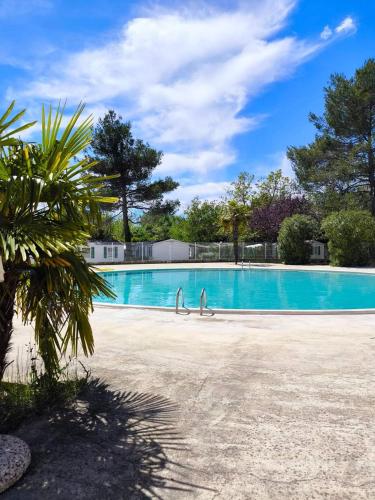 une grande piscine avec un palmier au premier plan dans l'établissement Camping Domaine des Iscles, à La Roque-dʼAnthéron