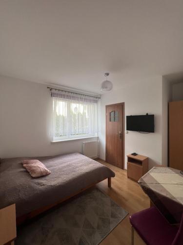 a bedroom with a large bed and a television at Willa Dominik 2 in Jastarnia