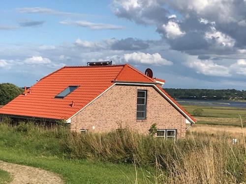 a barn with an orange roof in a field at Ferienhaus Wiesenkate in Hohwacht