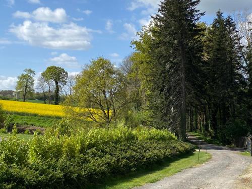 a dirt road next to a field with a tree at Maison d'hôtes & Gîtes Domaine de la Garaye in Dinan
