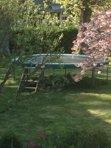 une balançoire installée dans une cour avec un arbre dans l'établissement Gris Pomme Gite du Manoir de la Porte, à Les Authieux-sur-Calonne
