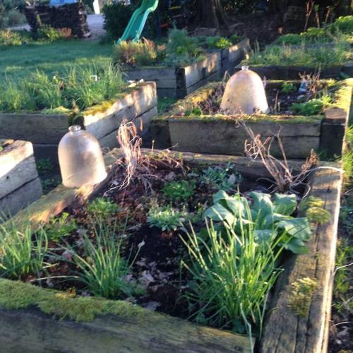 un jardin avec trois marches en pierre avec des plantes dans l'établissement Gris Pomme Gite du Manoir de la Porte, à Les Authieux-sur-Calonne