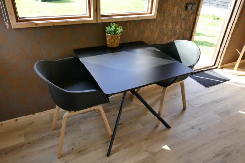 una mesa negra y 2 sillas en una habitación en Tinyhouse Giethoorn en Giethoorn