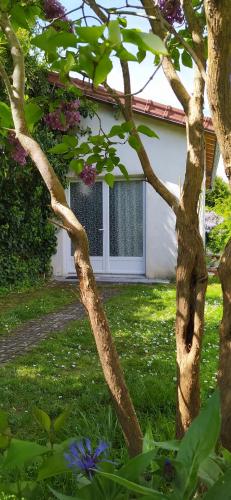 Taman di luar La Petite Maison