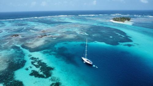 a sailboat in the water in the ocean at 73ft Family Sailing Yacht with Crew - all inclusive in Waisalatupo