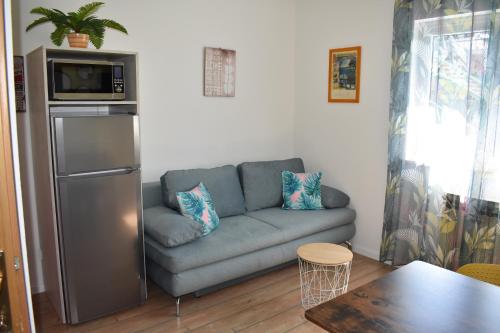 Guest House Vineyard oaza في بريلا: غرفة معيشة مع أريكة وميكروويف