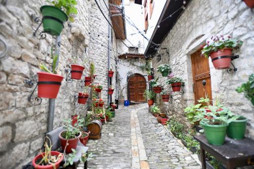 an alley with potted plants on the side of a building at Guesthouse Alvaro Kadiu in Berat